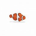 Clown Fish