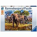 Elephant Family Puzzle 500pcs
