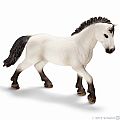 Camargue Stallion