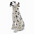 Dalmation