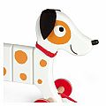 Crazy Rocky Dog Pull Toy