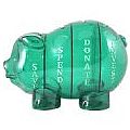 Money Savvy Piggy Bank