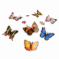 Butterfly 3D Stickers