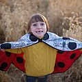 Color-A-Cape Ladybug 