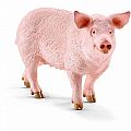 Schleich Pig