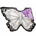 Color A Cape Butterfly Wings