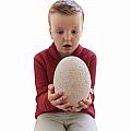 Dig It Up! The Big Dinosaur Egg Kit