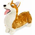 Corgi Plush