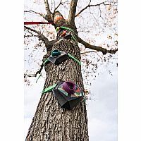Slackers Tree Climbers