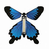 Wind Up Butterfly Set of 3