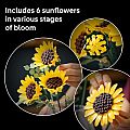 LEGO 11052 Sunflower Bouquet