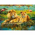 Lions in the Savannah 500pcs