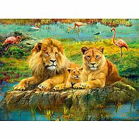 Lions in the Savannah 500pcs