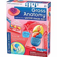 Gross Anatomy Make Your Own Squishy Human Body Science