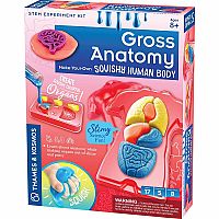 Gross Anatomy Make Your Own Squishy Human Body Science