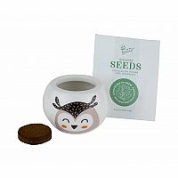 Wild Adventure Ceramic Seed Kit