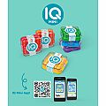 IQ Mini Pocket Sized Puzzler by Smart Games