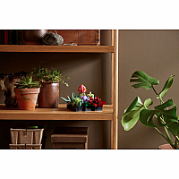 LEGO Succulents