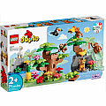 LEGO DUPLO Wild Animals of South America