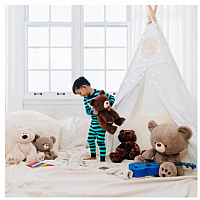 Finley Brown Bear Plush 13 in- GUND