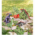 Colorful Dino Plush Set of 5