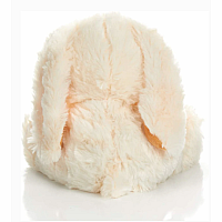 Warm Pals Bunny 