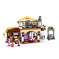 LEGO Asha's Cottage