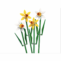 Daffodils