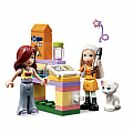LEGO Pet Adoption Day