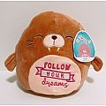 Squishmallow Bindy the Walrus 8" Inspirational Message RARE KellyToy Super Soft