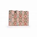 Uncle Goose German Blocks