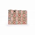 Uncle Goose German Alphabet Wooden Blocks