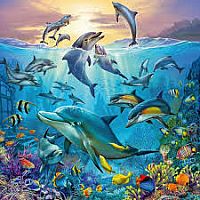 Tierwelt des Ozeans 3x49pc Puzzle