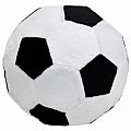 SportsBall Slow Rise Mini Pillow