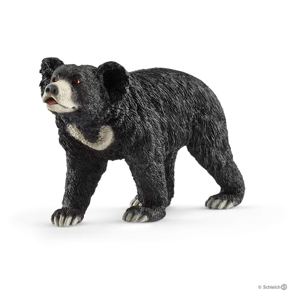 aldi sloth bear